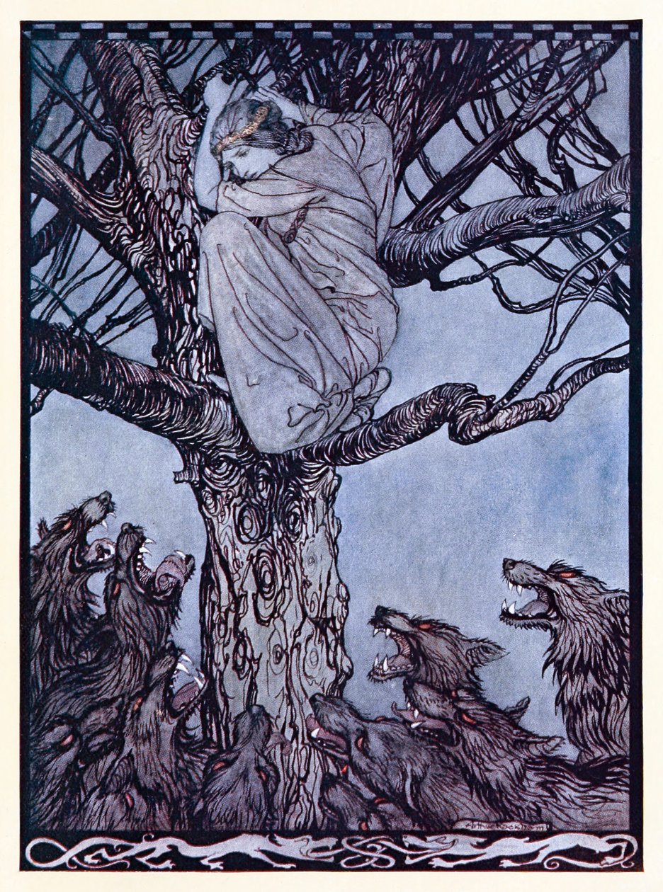 Hun så med vred ve på den anstrengende og snerrende horde nedenfor. fra The Wooing of Becfola in Irish Fairy Tales af Arthur Rackham