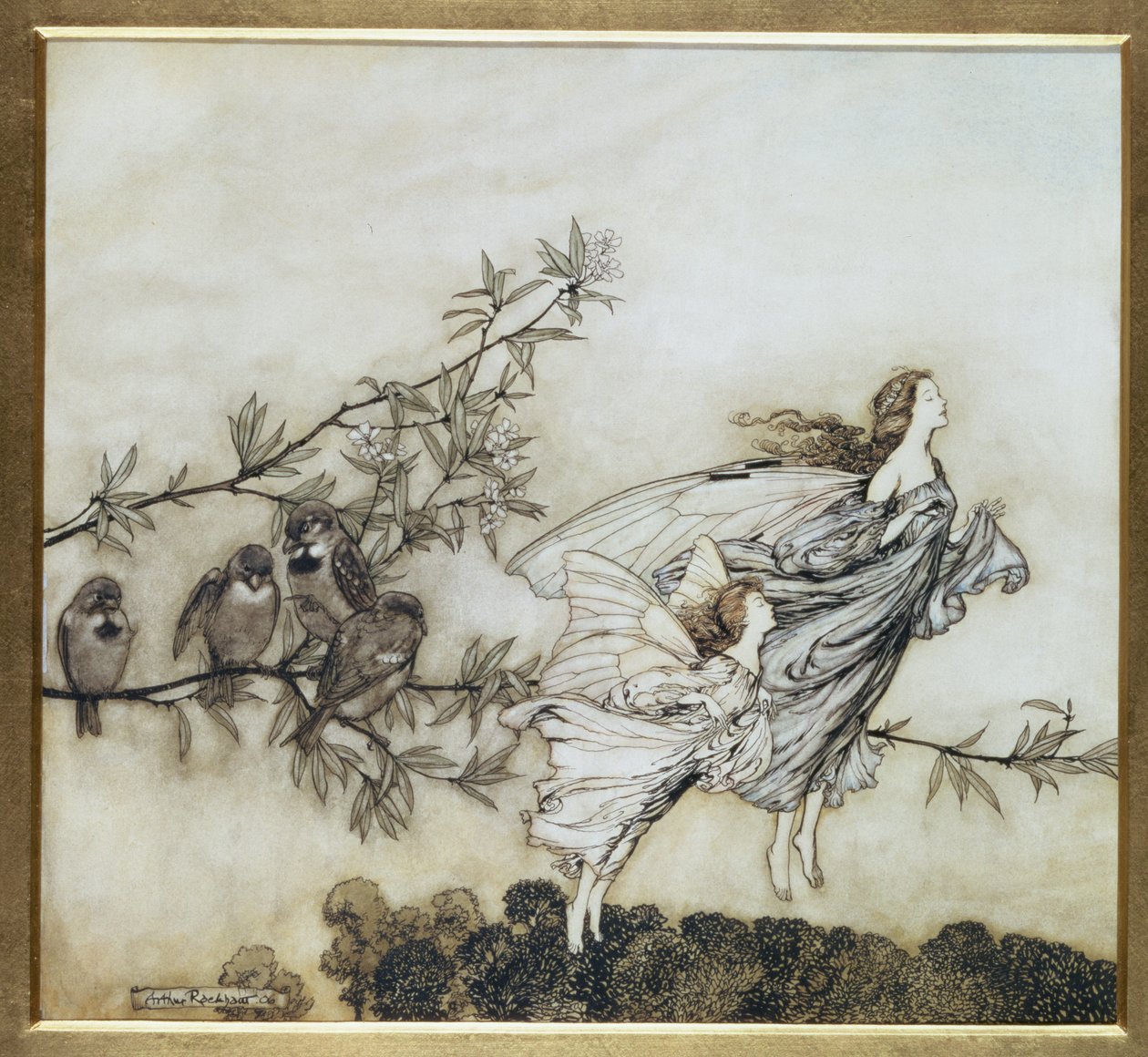 Feerne har deres Tiff with the Birds, illustration fra 1906 til Peter Pan i Kensington Gardens af J.M. Barrie, pub. 1906 (blæk og wc) af Arthur Rackham