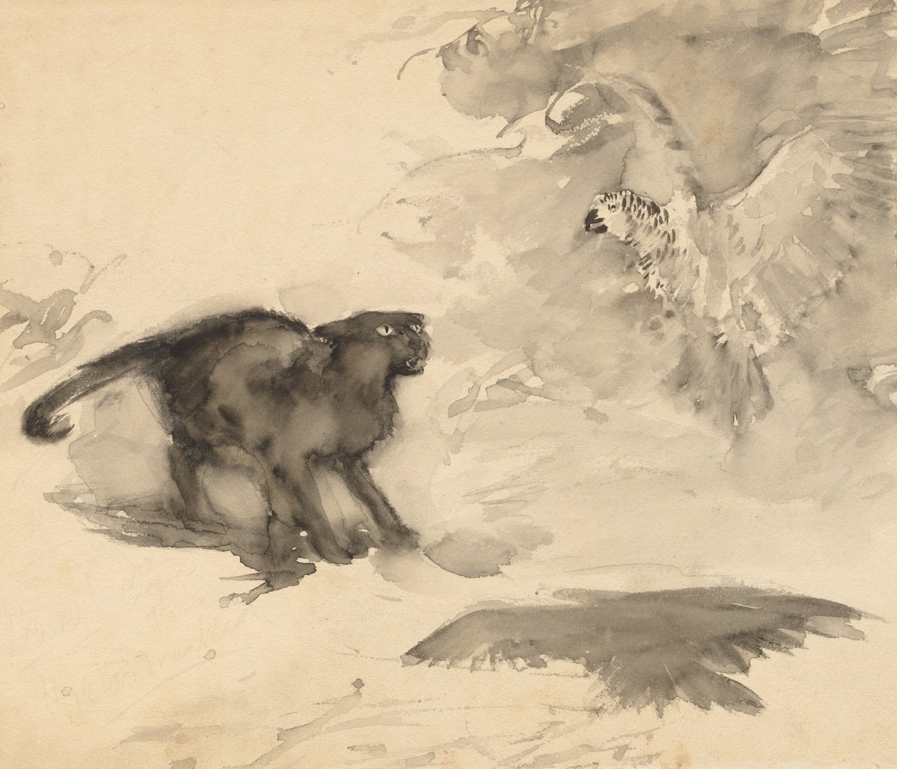 Papegøjen og katten (skitse til "Godnat" af Eleanor Gates) af Arthur Rackham
