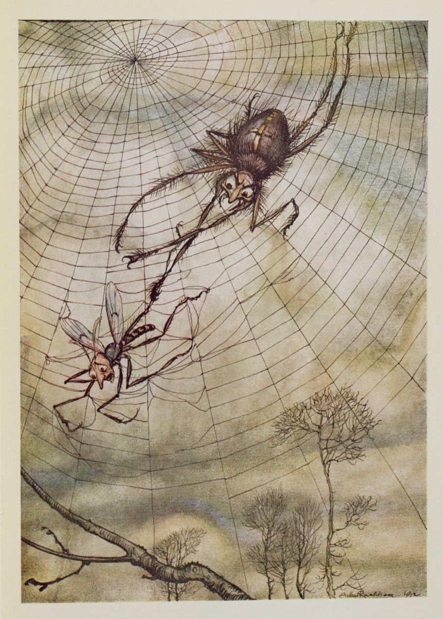 Edderkoppen og fluen, illustration fra 