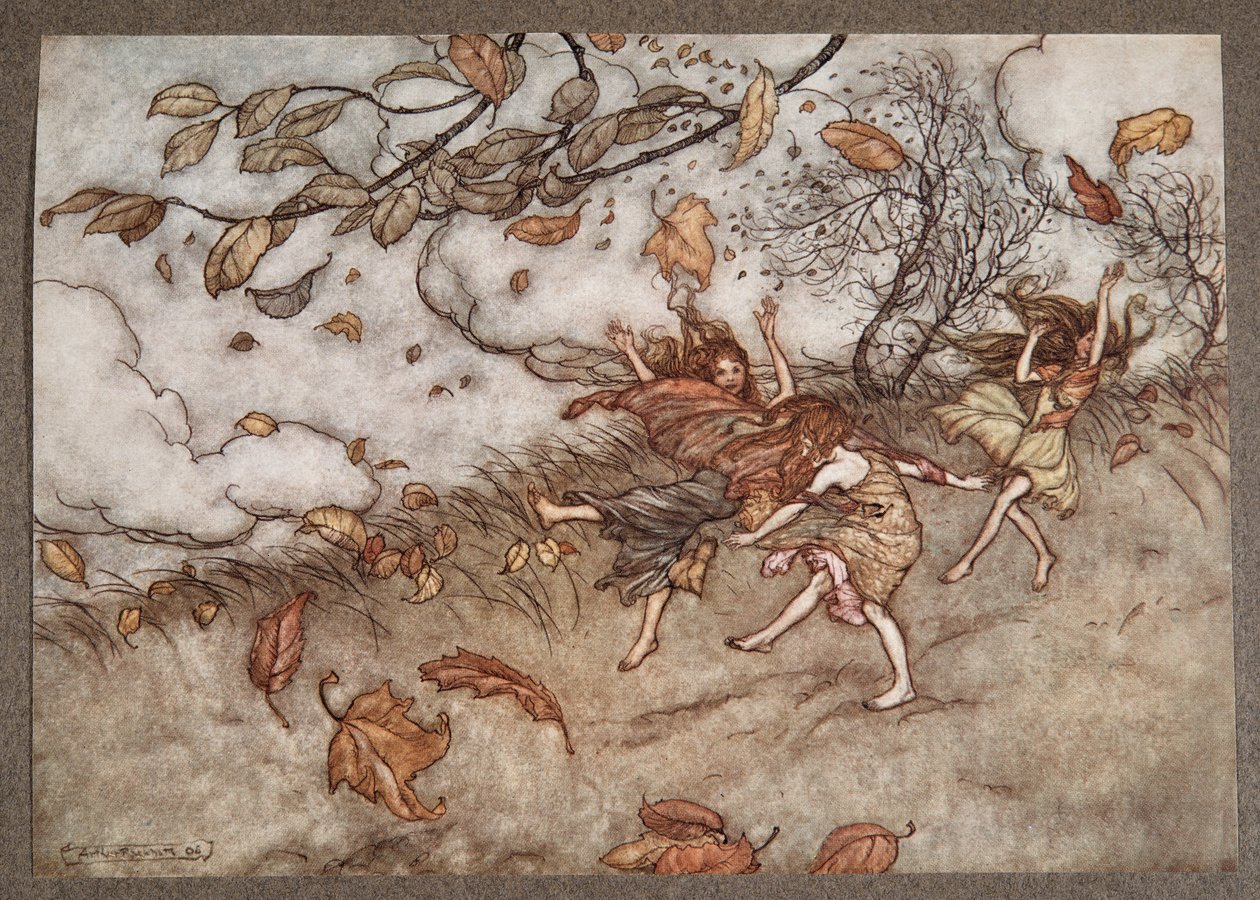 Der er næsten intet, der har så stor en sans for sjov som et faldet blad, fra Peter Pan i Kensington Gardens af J M Barrie (1860 - 1937), pub. 1906 af Arthur Rackham