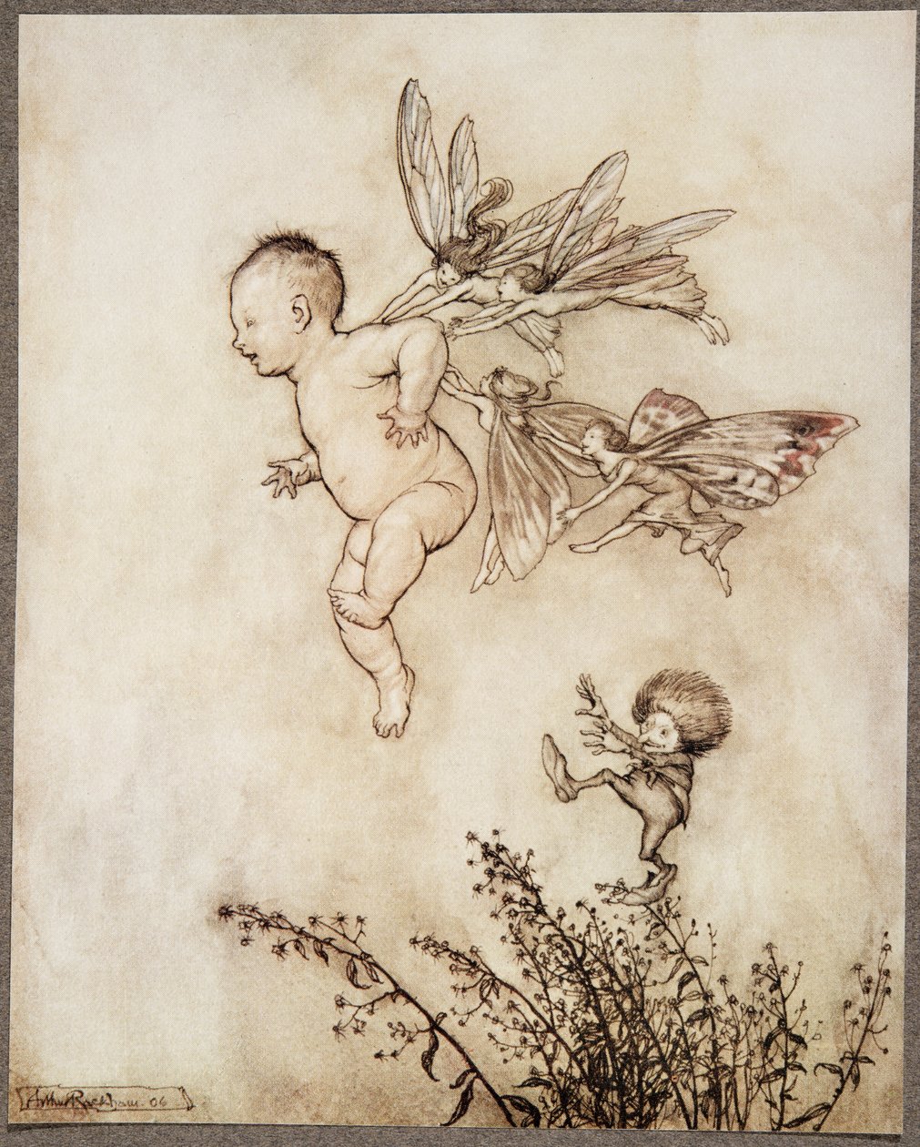 De kildede ham alle sammen på skulderen .. , fra Peter Pan i Kensington Gardens af J M Barrie (1860 - 1937), pub. 1906 af Arthur Rackham