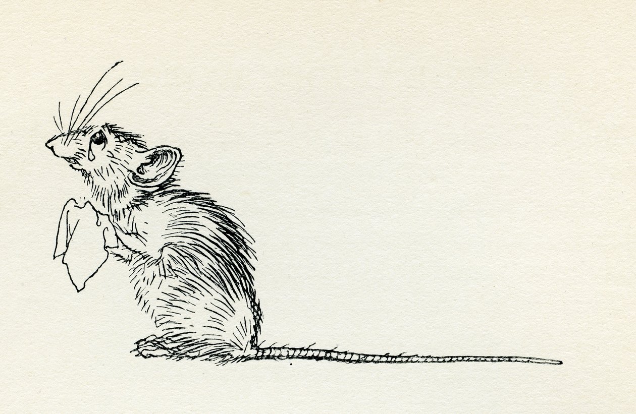 Titty Mouse og Tatty Mouse af Arthur Rackham