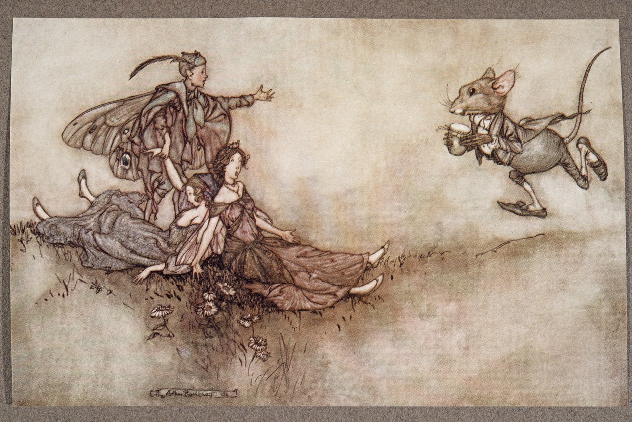 Vægblomstjuice er god til at genoplive dansere, der falder til jorden i et anfald, fra Peter Pan i Kensington Gardens af J M Barrie (1860 - 1937), pub. 1906 af Arthur Rackham