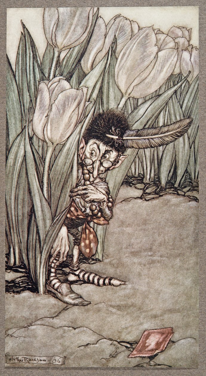 Da han hørte Peters stemme, sprang han forskrækket op bag en tulipan, fra Peter Pan in Kensington Gardens af J M Barrie (1860 - 1937), pub. 1906 af Arthur Rackham