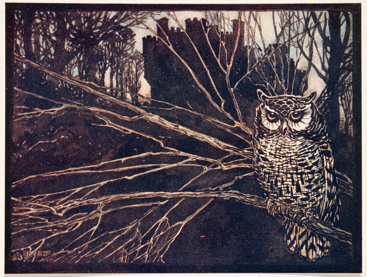 ? eller en skrigende ugle.., fra The Fairy Tales of the Brothers Grimm, pub. 1909 af Arthur Rackham