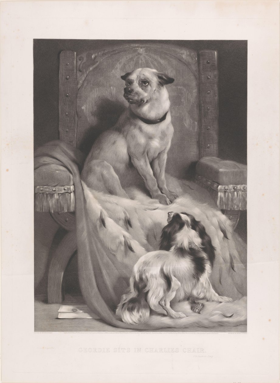 Hund på en hermelinkappe på en trone Geordie sidder i Charlies stol (titel på objekt) af Arthur Turrell