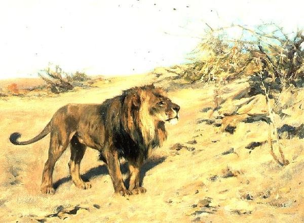 En løve blandt krat af Arthur Wardle