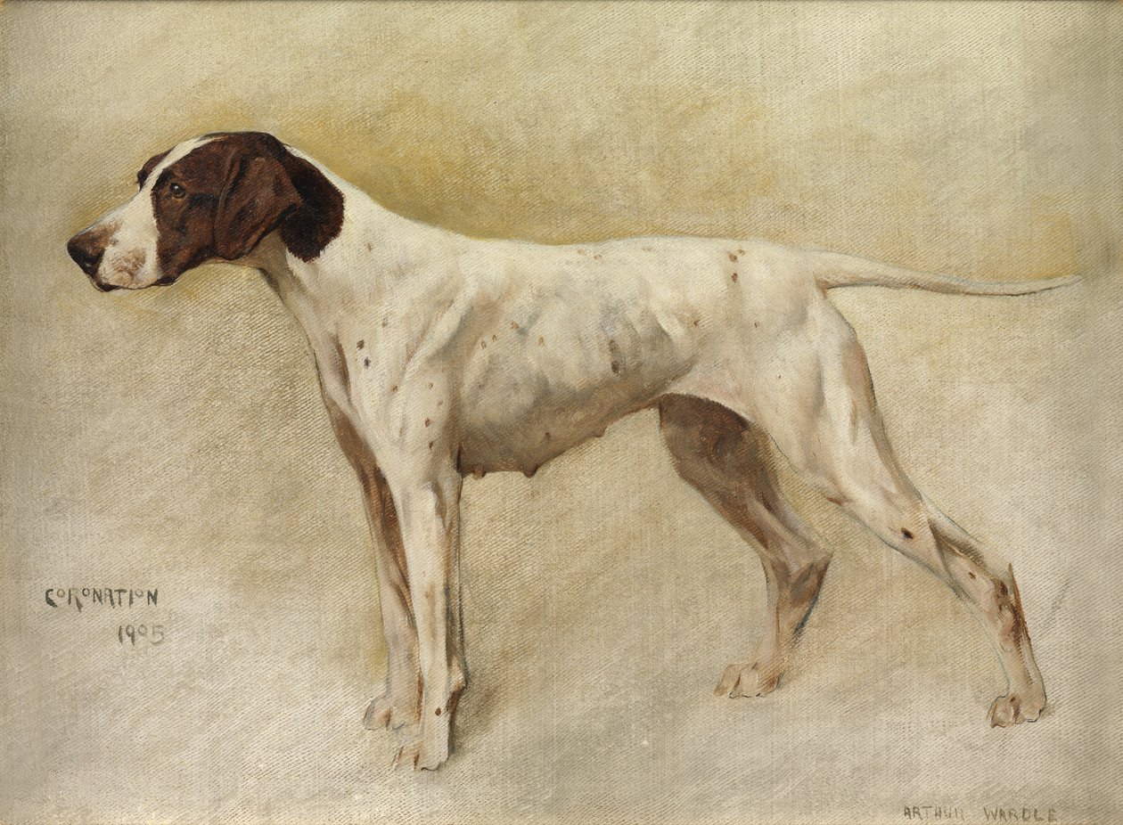Kroning af Arthur Wardle
