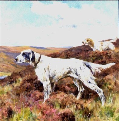 Engelske settere (olie om bord) af Arthur Wardle