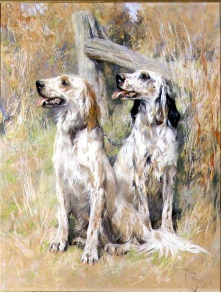 Engelske Settere af en Stile af Arthur Wardle