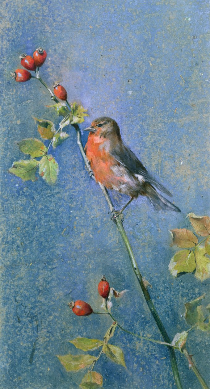 Robin på en gren af Arthur Wardle