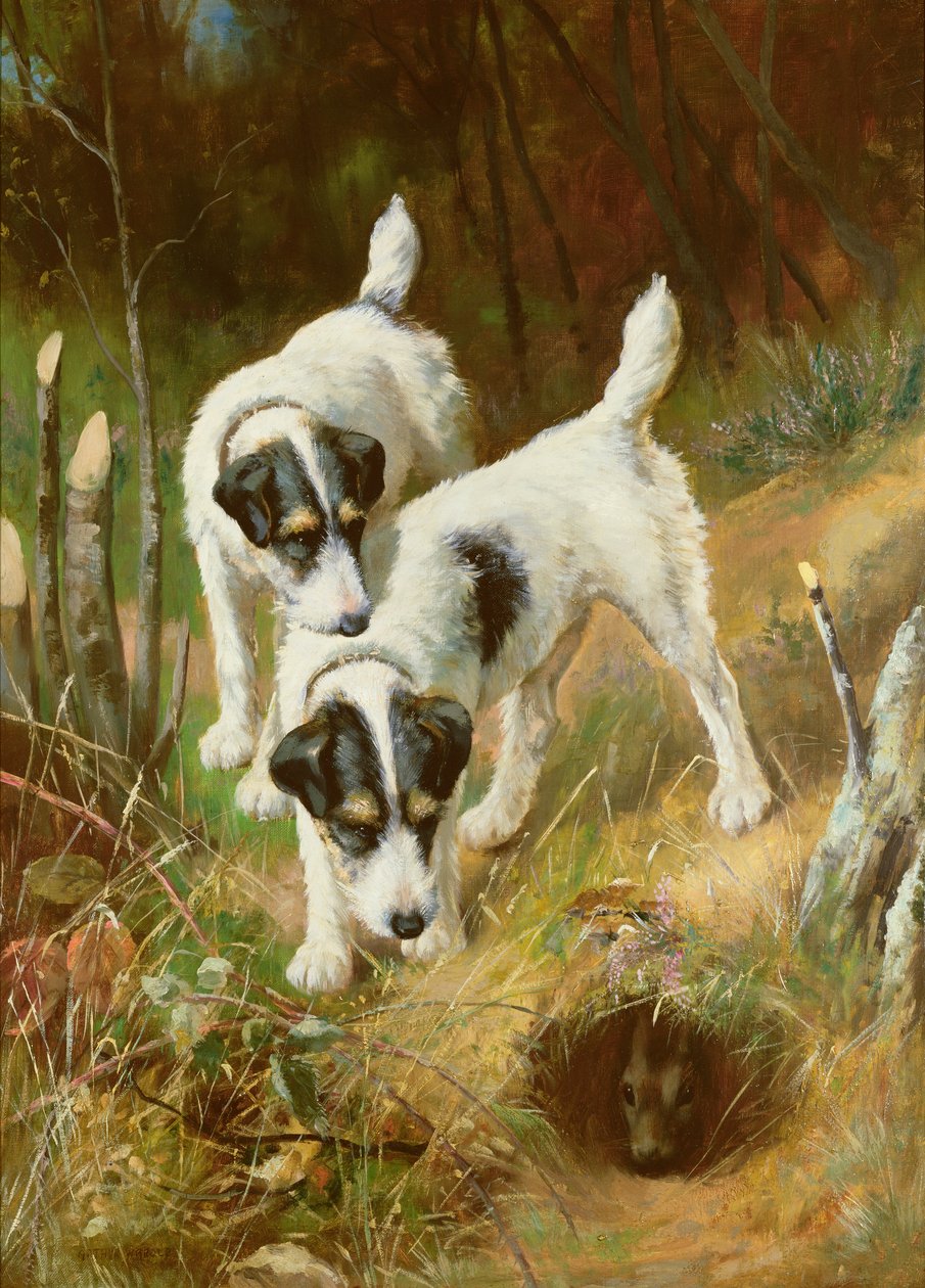 Terrier kanin af Arthur Wardle