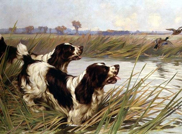 To springere, der jagter gråænder af Arthur Wardle