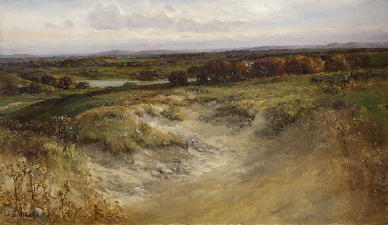 Landskab; tidligere brugt som baggrund i en Naturhistorisk montre af Arthur Wilde Parsons