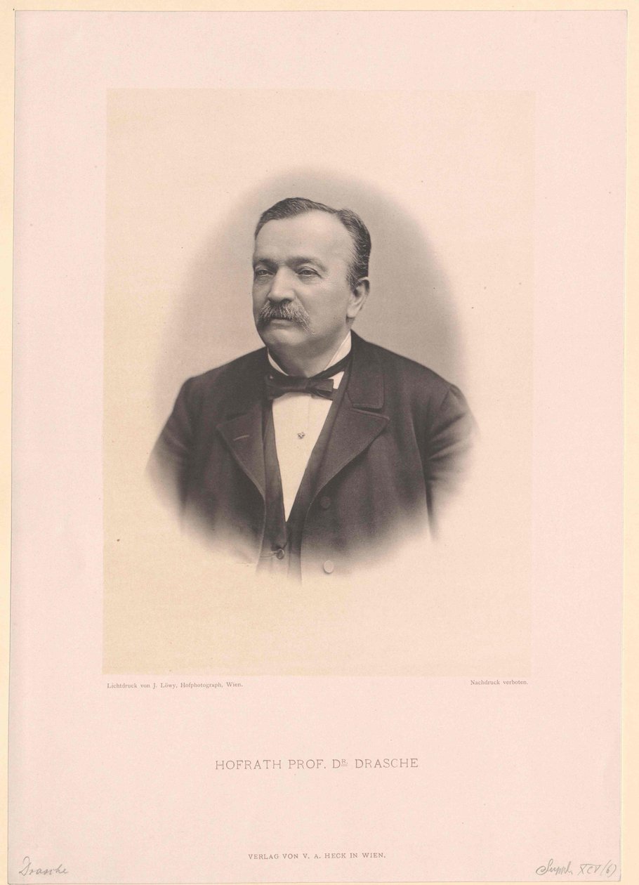 Anton Ritter Drasche af Artist Unknown