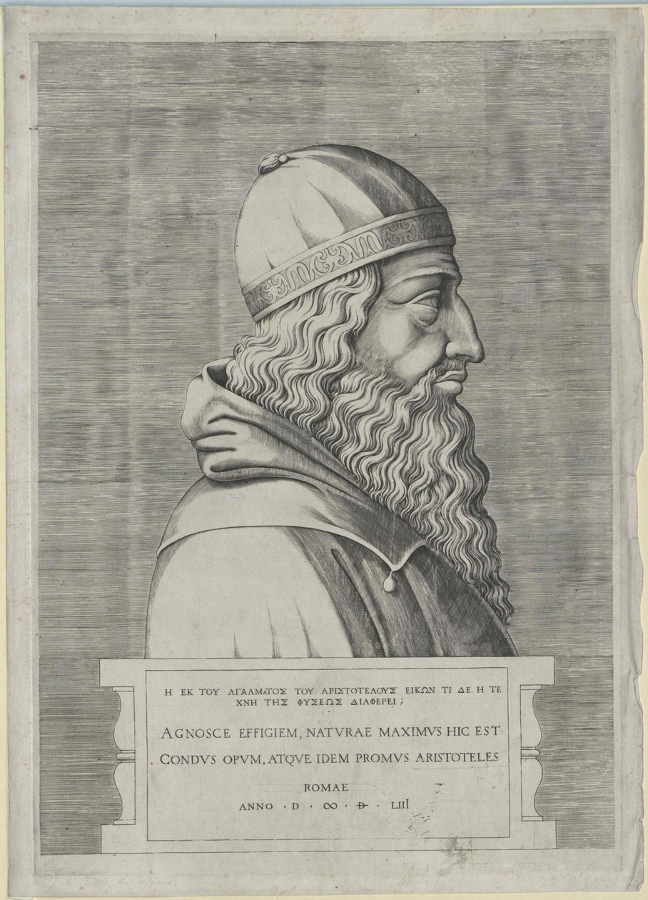 Aristoteles (print) af Artist Unknown