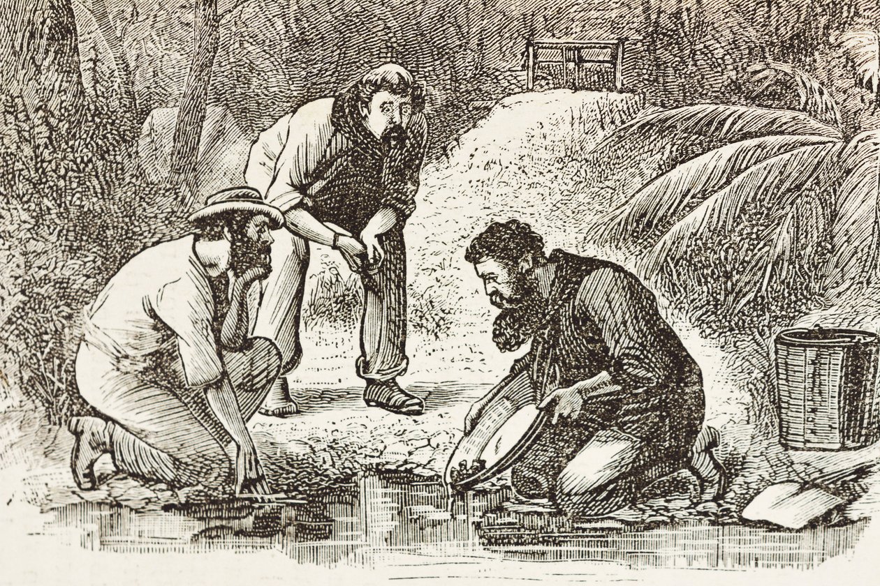 Australien (1880). Guldgravernes liv i Botany Bay (grundlagt i 1788). Gravering. Privat samling af Artist Unknown