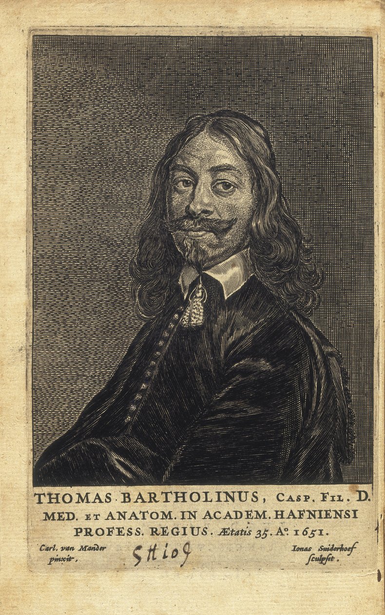 BARTHOLIN, Thomas (1616-1680). Dansk læge, matematiker og teolog. Han er bedst kendt for sit arbejde med at opdage lymfesystemet hos mennesker og for sine fremskridt inden for teorien om køleanæstesi, idet han var den første til at beskrive af Artist Unknown