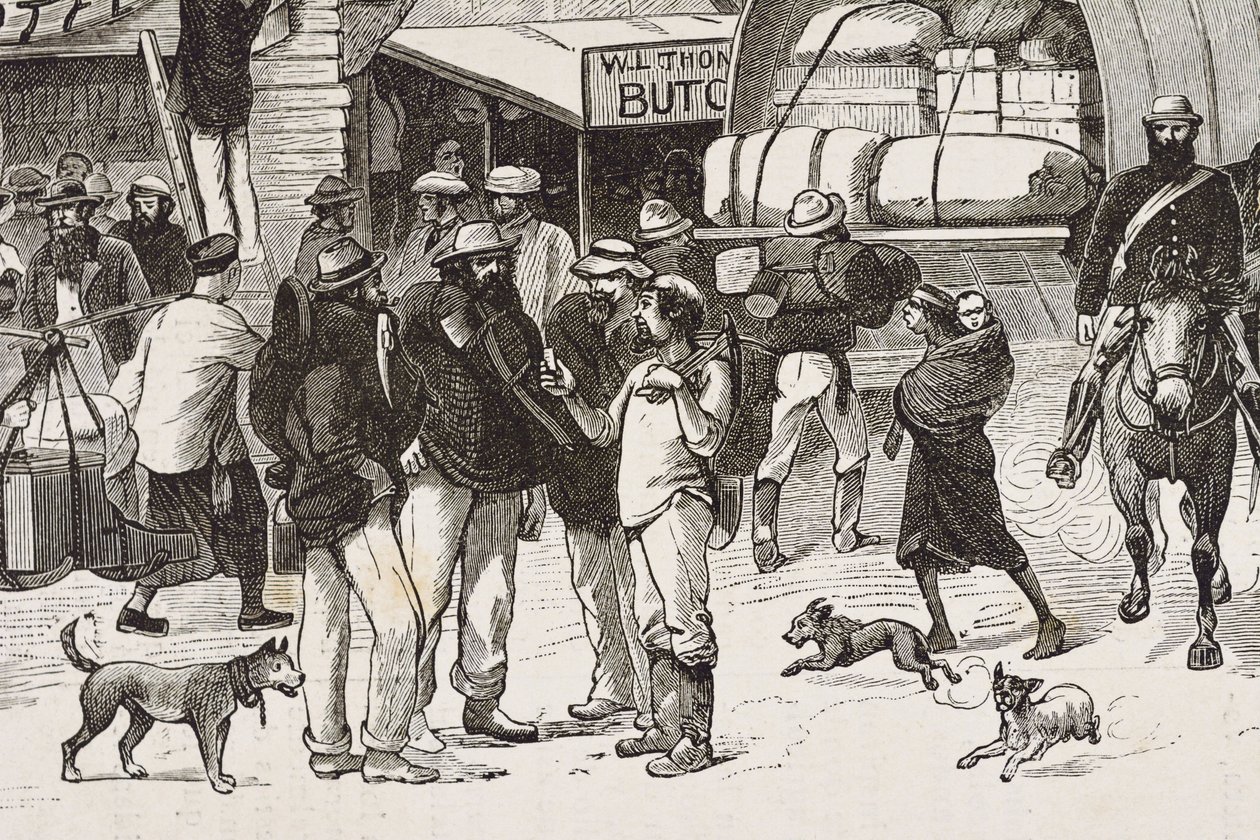 England (C19th). Kolonisering (1880). Guldgravernes liv i Australien. Den engelske koloni Botany Bay (grundlagt i 1788) og oprindeligt mest befolket af kriminelle, der blev guldgravere og handelsfolk. Gravering. Privat samling af Artist Unknown