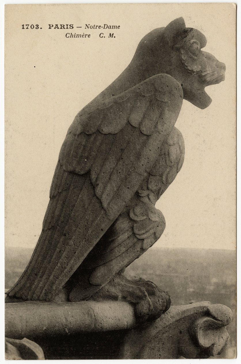 Gargoyle eller chimere på katedralen Notre Dame de Paris, bygget mellem 1163 og det 14. århundrede - Postkort, Selva-samlingen af Artist Unknown