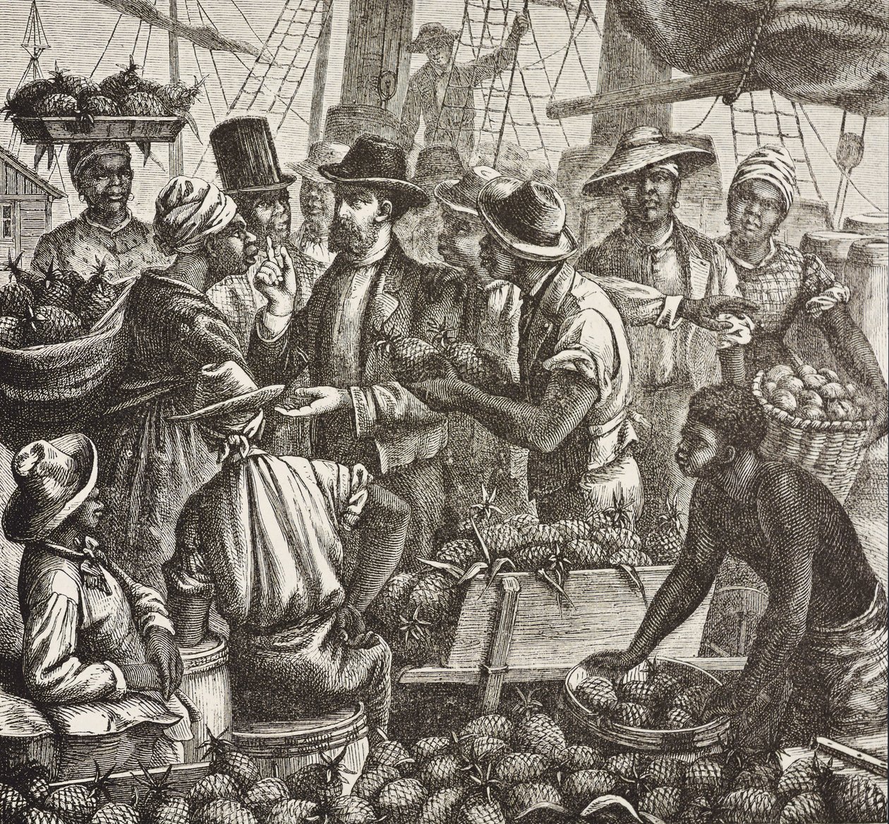 Englands historie (C19th). Kolonisering (1880). Bahama sælger ananas. Engelsk koloni på New Providence Island. Ananas var et af de vigtigste eksportprodukter fra havnen i Nassau. Gravering. Privat samling af Artist Unknown