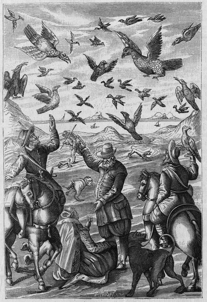 Illustration til "La Nature: revue des sciences et de leurs applications aux arts et a l