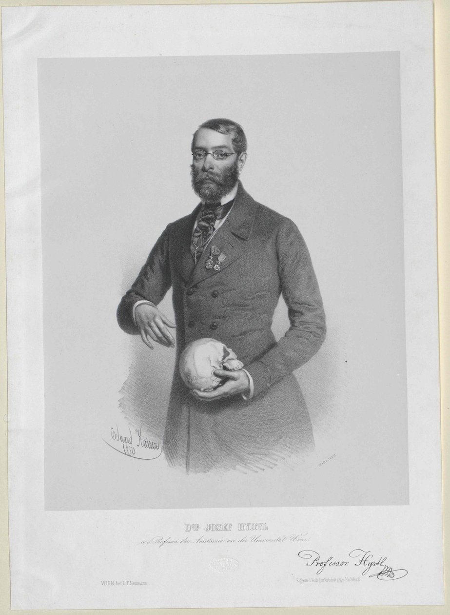 Joseph Hyrtl af Artist Unknown