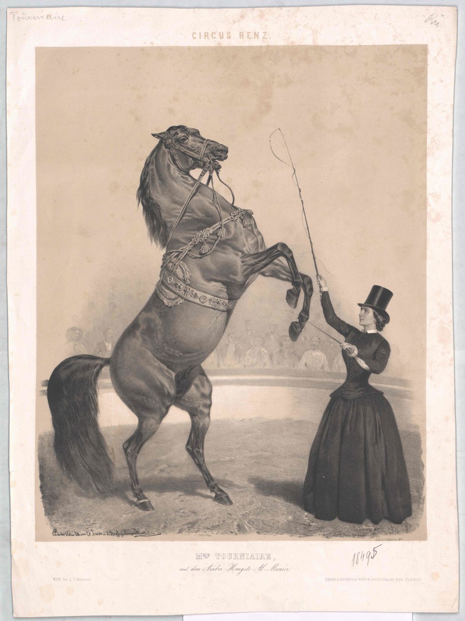 Levede omkring 1860 Tourniaire af Artist Unknown