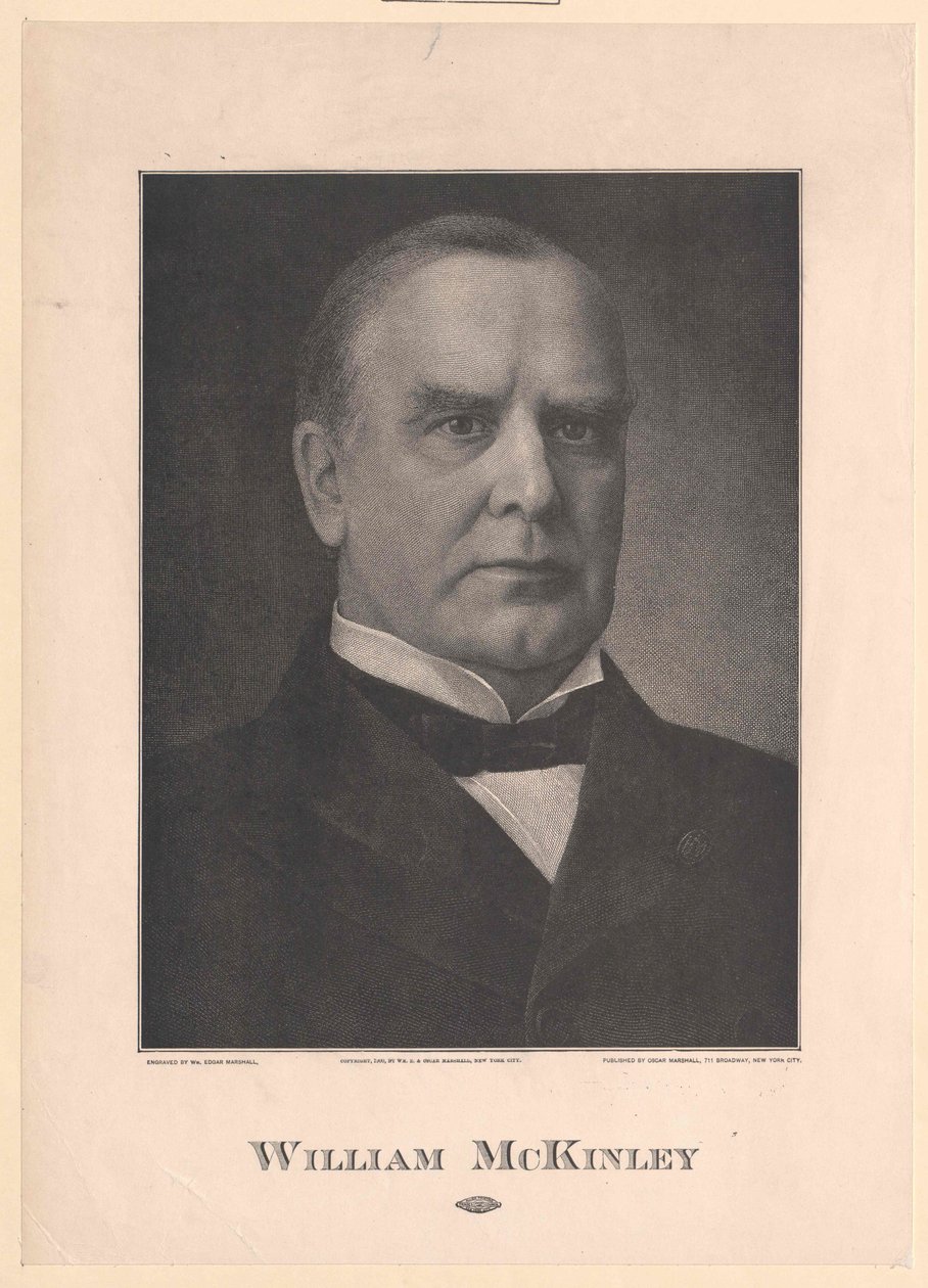 William MacKinley af Artist Unknown