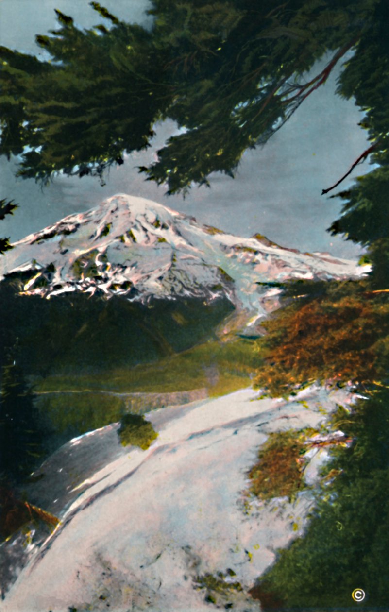 Mount Tacoma fra Eagle Peak, Washington, c1916 af Asahel Curtis