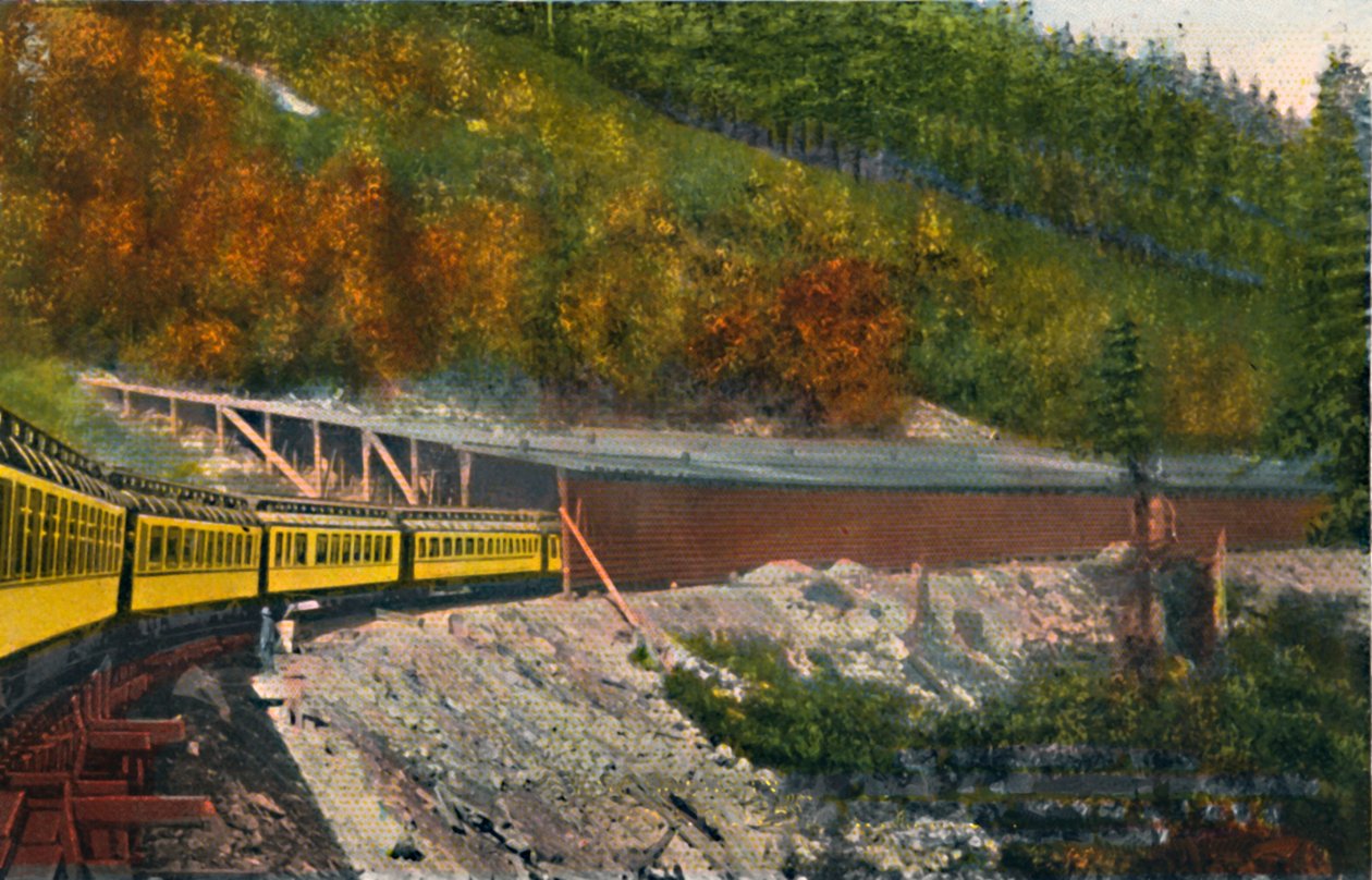 Sneskure i Cascade Mountains, c1916 af Asahel Curtis