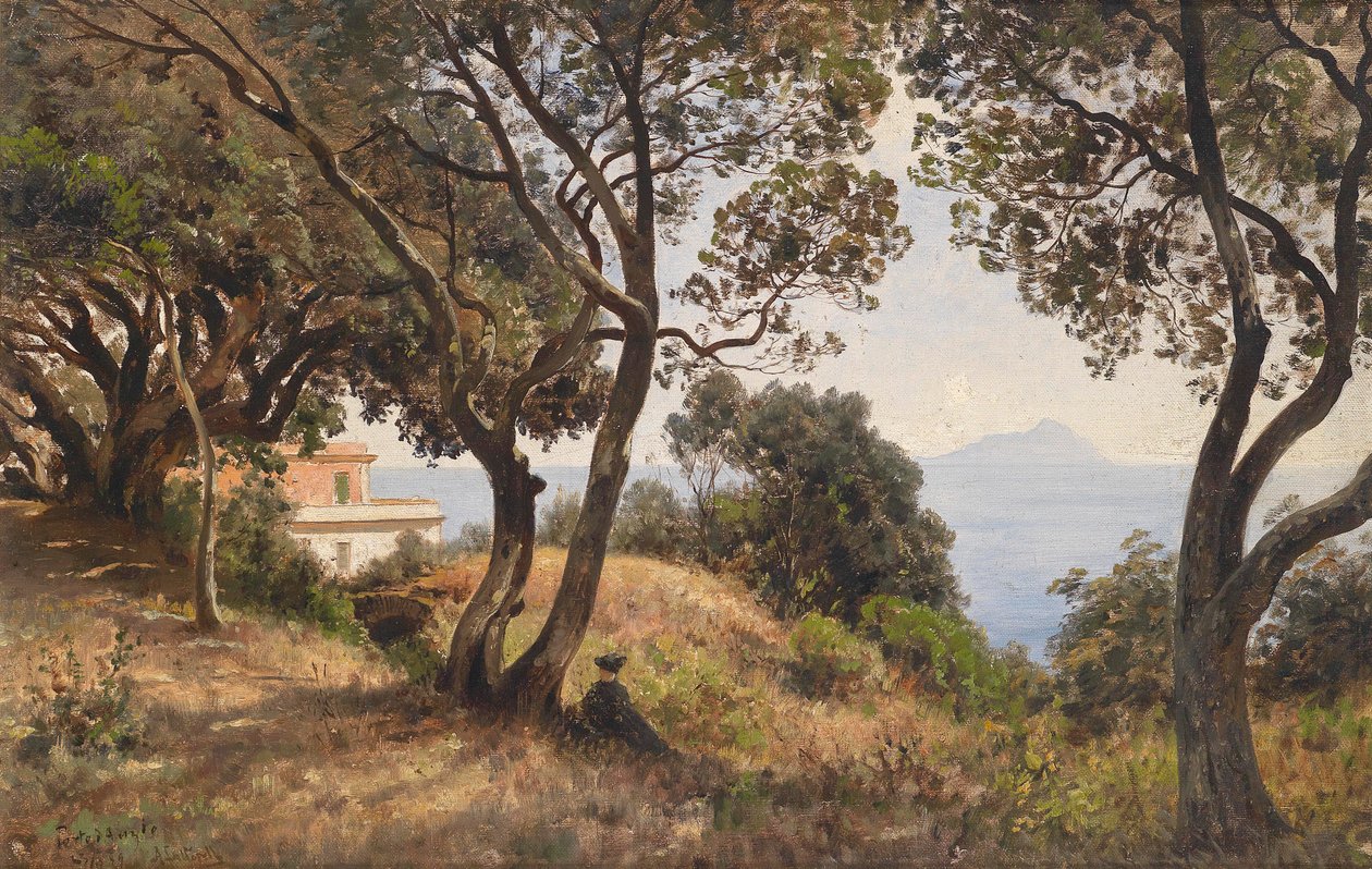 Ascan Lutteroth sydlig udsigt 1889 af Ascan Lutteroth