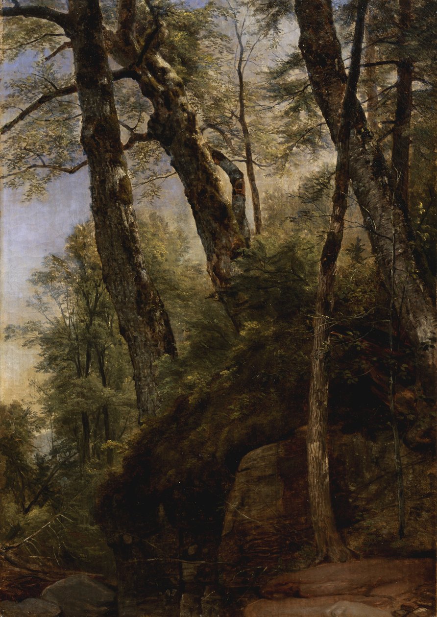 Black Birches, Catskill Mountains, 1860 af Asher Brown Durand