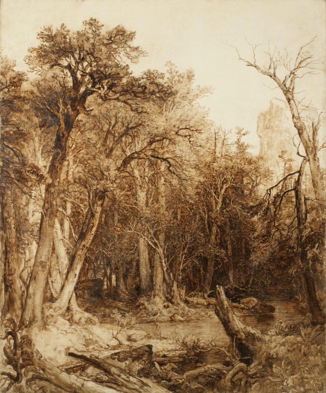 Urskov, 1854 (olie på præ-grundet lærred) af Asher Brown Durand