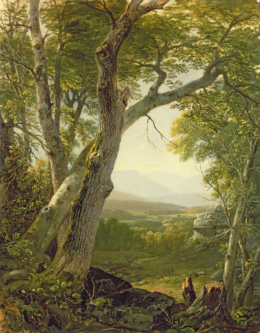 Shandaken Ridge, Kingston, New York, ca. 1854 af Asher Brown Durand