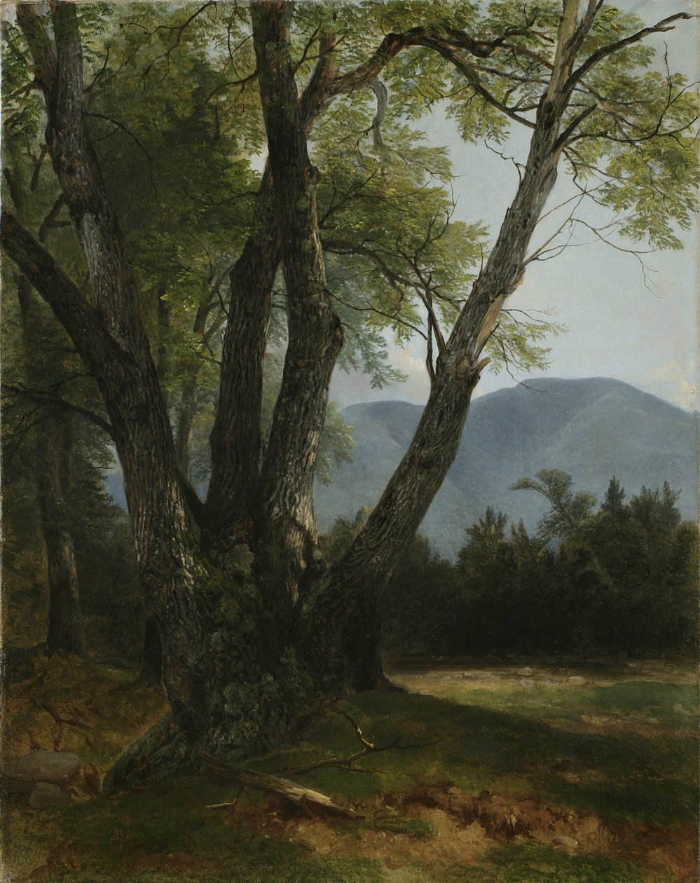 Shandaken, Ulster County, New York, 1854 af Asher Brown Durand