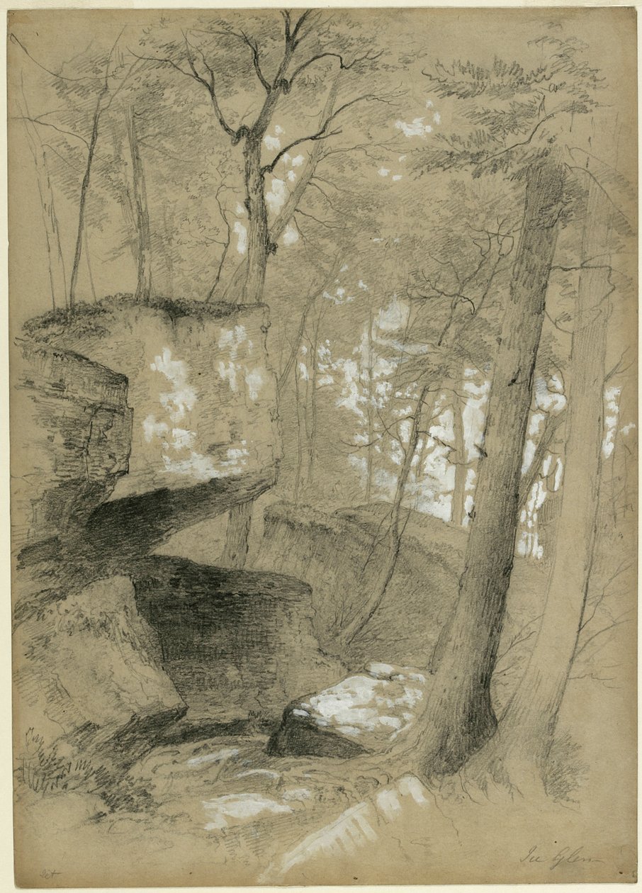 Studer klipper og træer i Ice Glen, Stockbridge, Massachusetts, 1851 (grafit og hvid gouache på beige papir) af Asher Brown Durand
