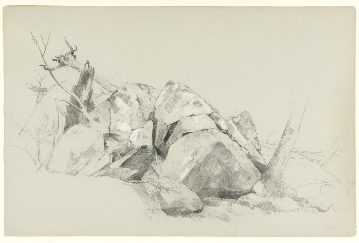 Studie af klipper, 1863 (grafit og hvid gouache på gråt papir) af Asher Brown Durand