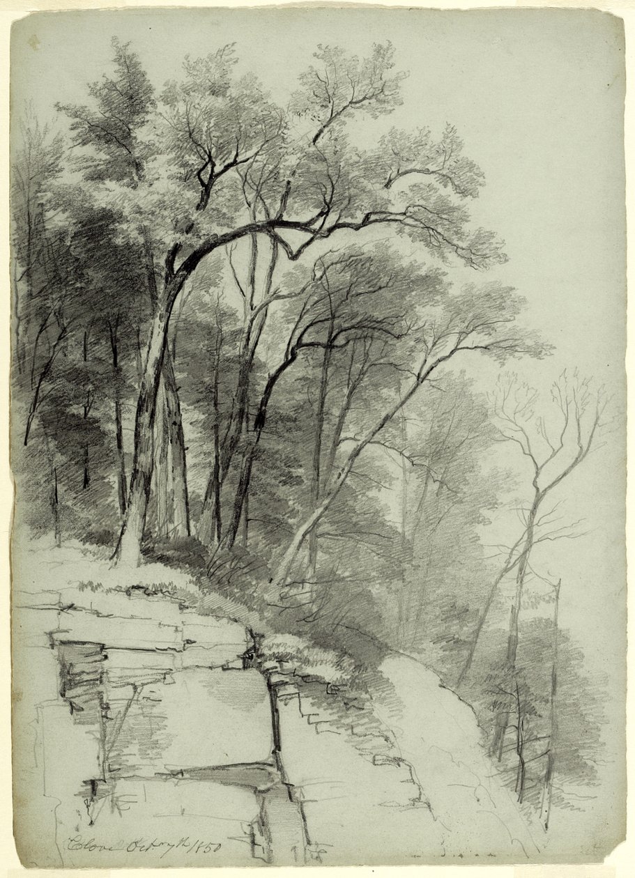Study of Trees and Rocks, Catskill Clove, New York, 1850 (grafit på grågrønt papir) af Asher Brown Durand