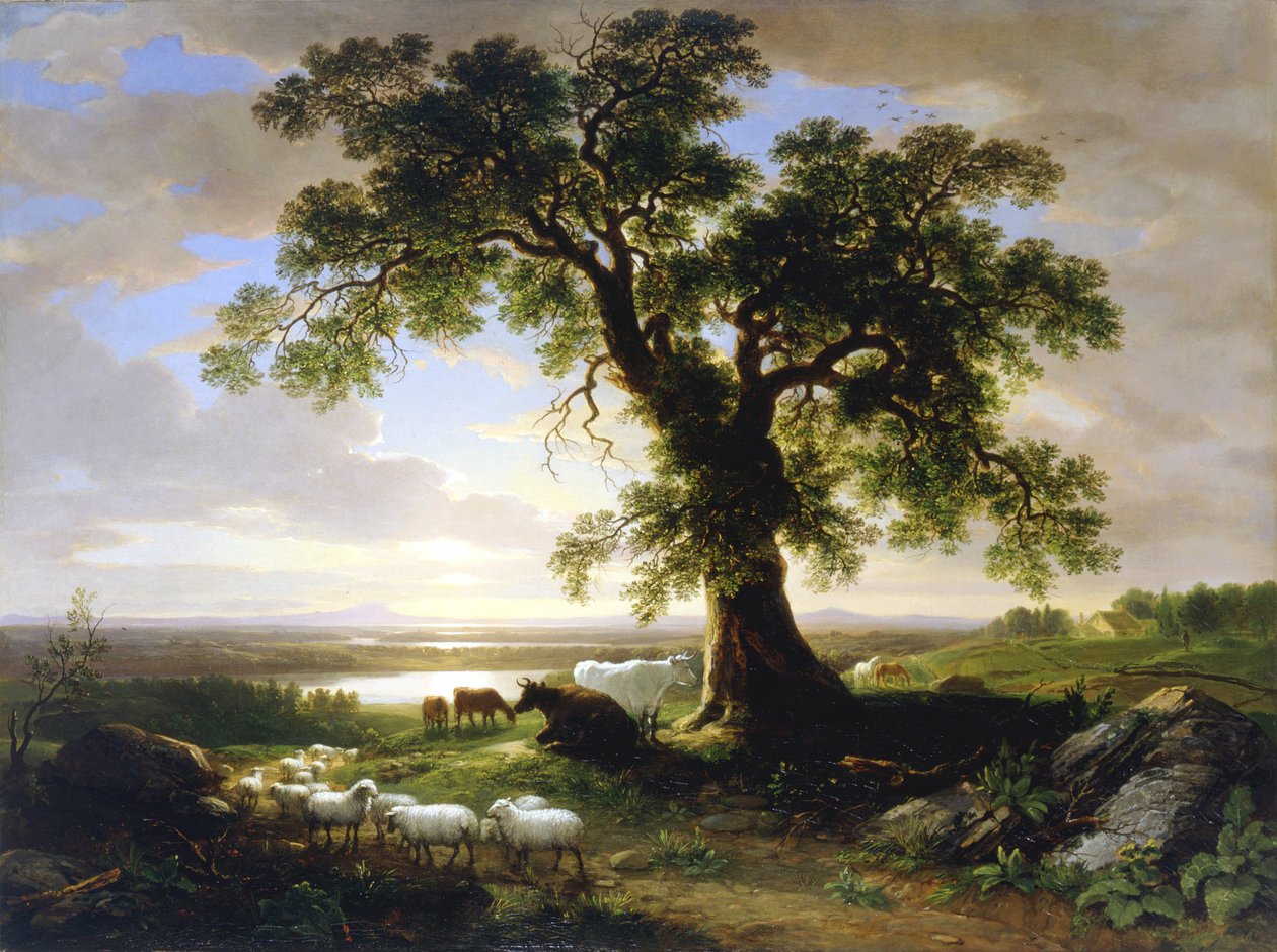 Den Solitære Eg Den gamle Eg, 1844 af Asher Brown Durand