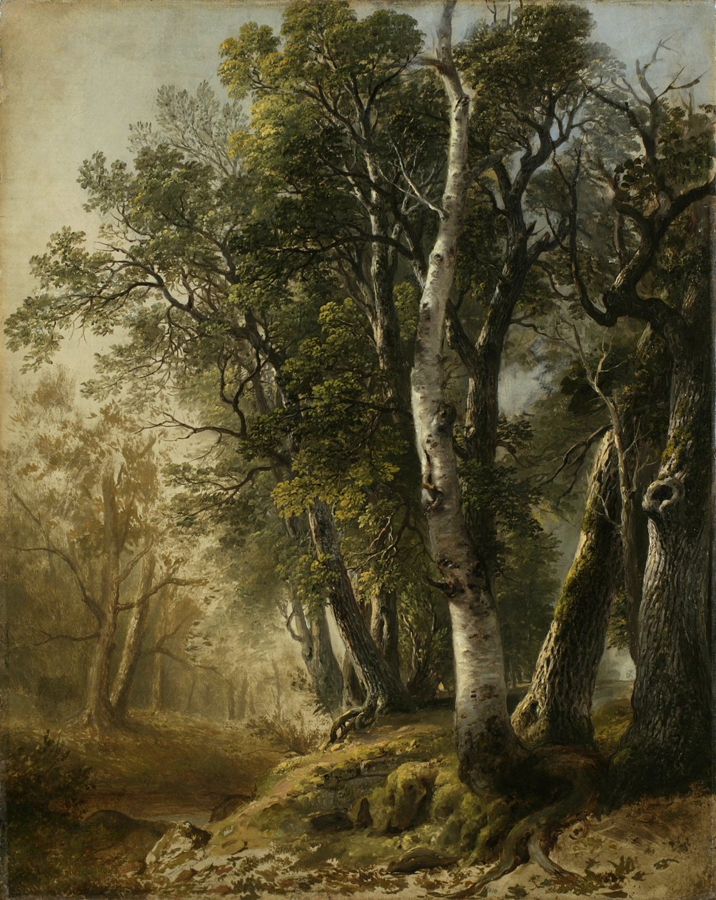 Træer ved Brookside, Kingston, New York, 1846 (olie på linned) af Asher Brown Durand