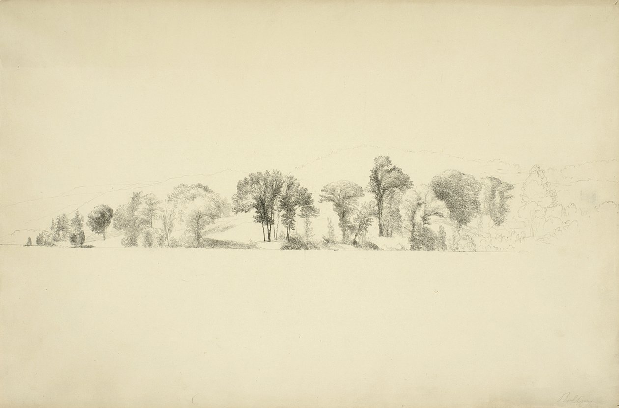 Træer ved bredden af Lake George, Bolton, New York, 1863 (grafit på papir) af Asher Brown Durand