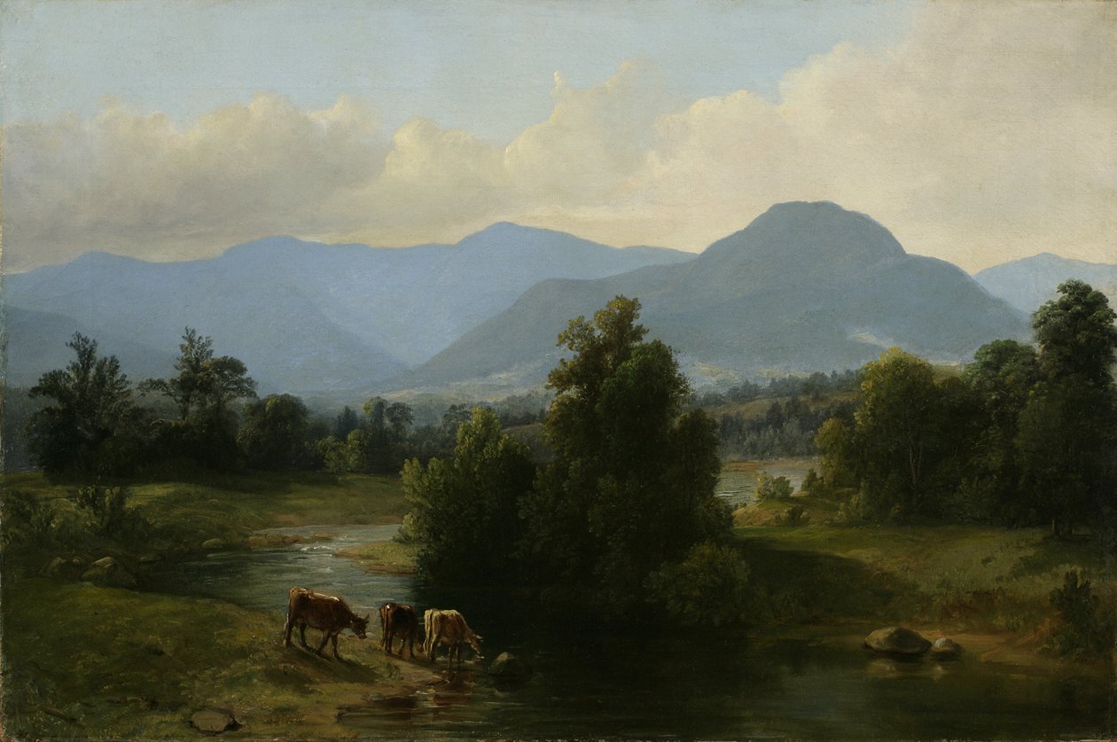 Udsigt over Shandaken-bjergene, New York, 1853 (olie på linned) af Asher Brown Durand