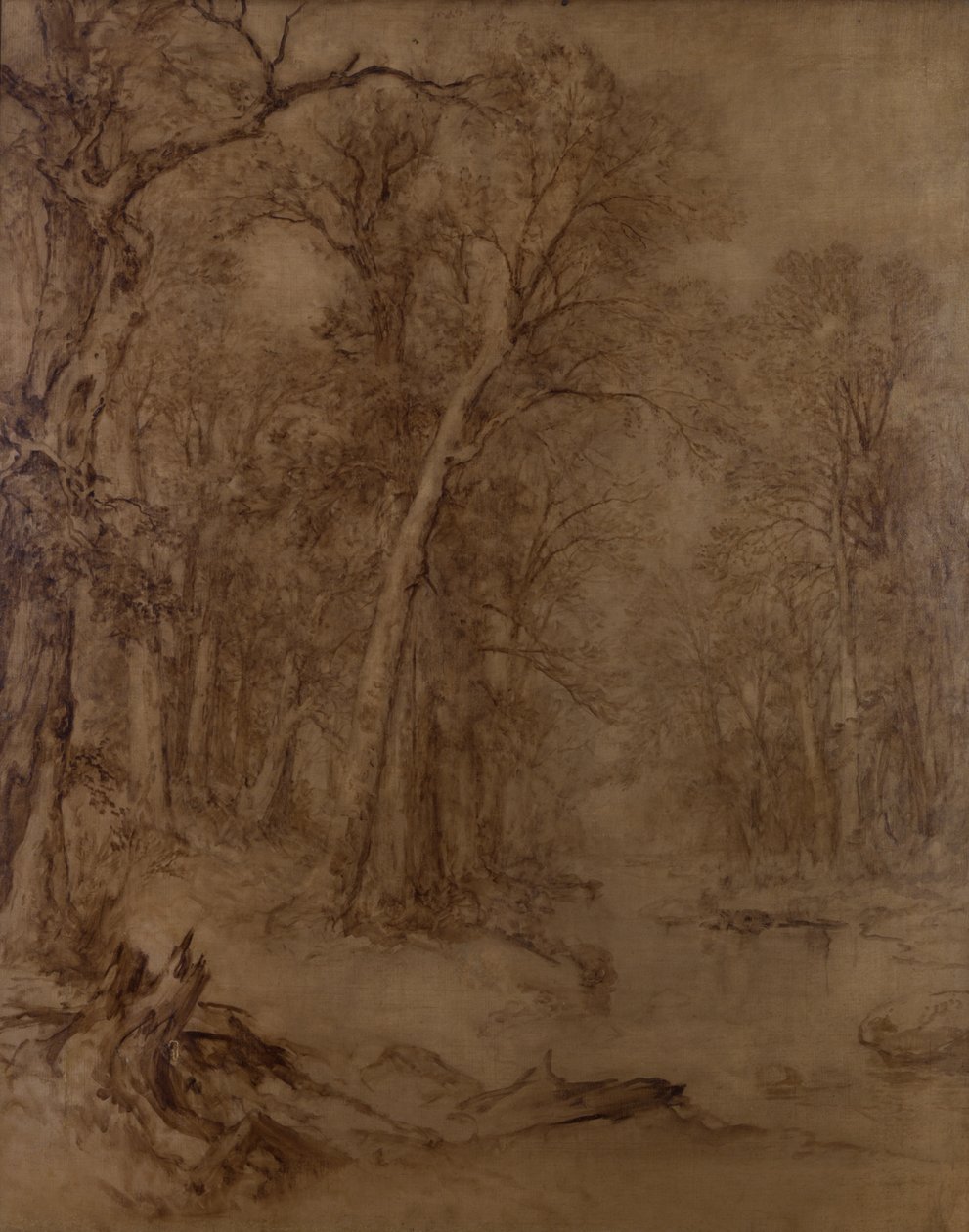 Woodland Brook, forundersøgelse, 1859 (sepia olie på lærred) af Asher Brown Durand