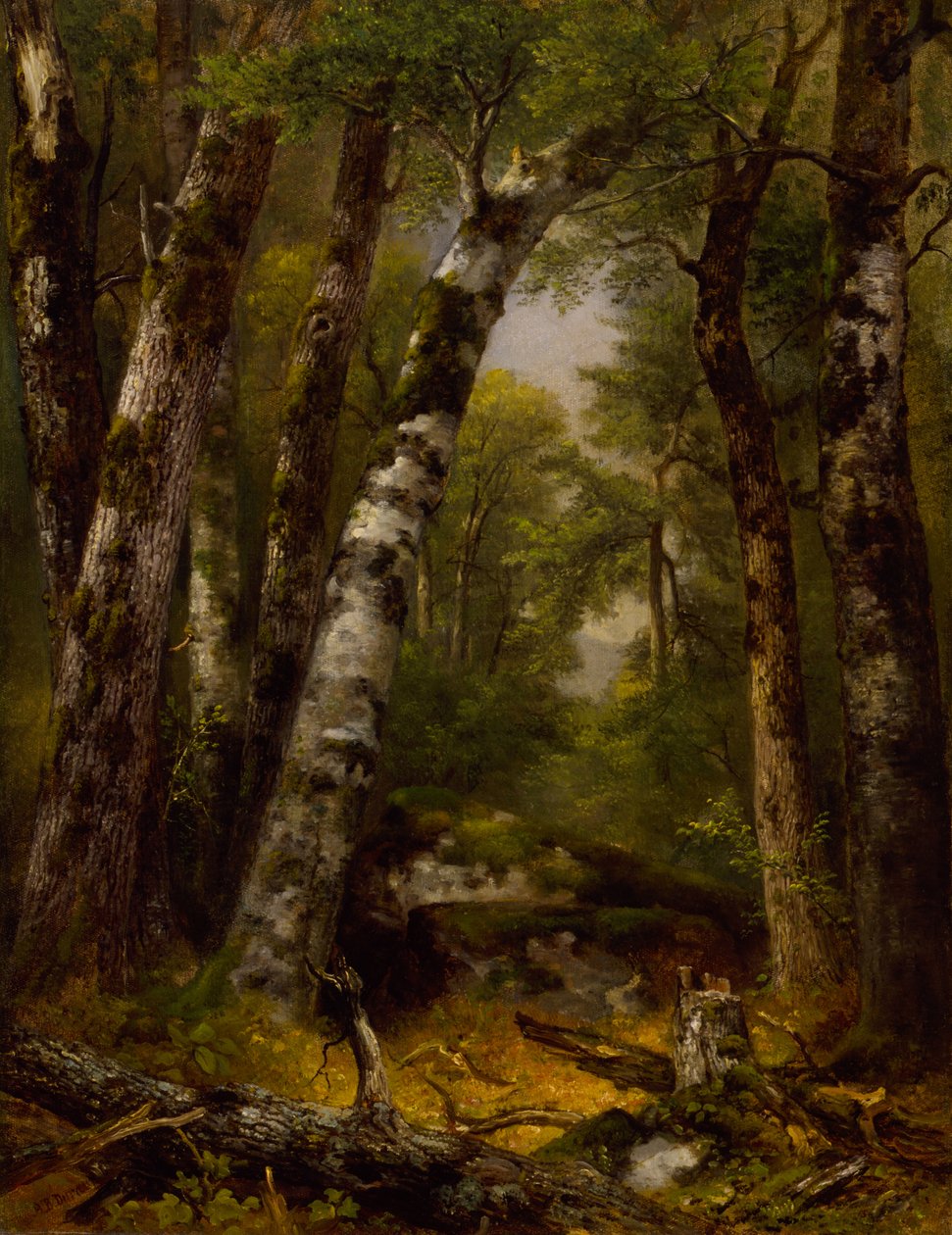 Woodland Glen af Asher B. Durand