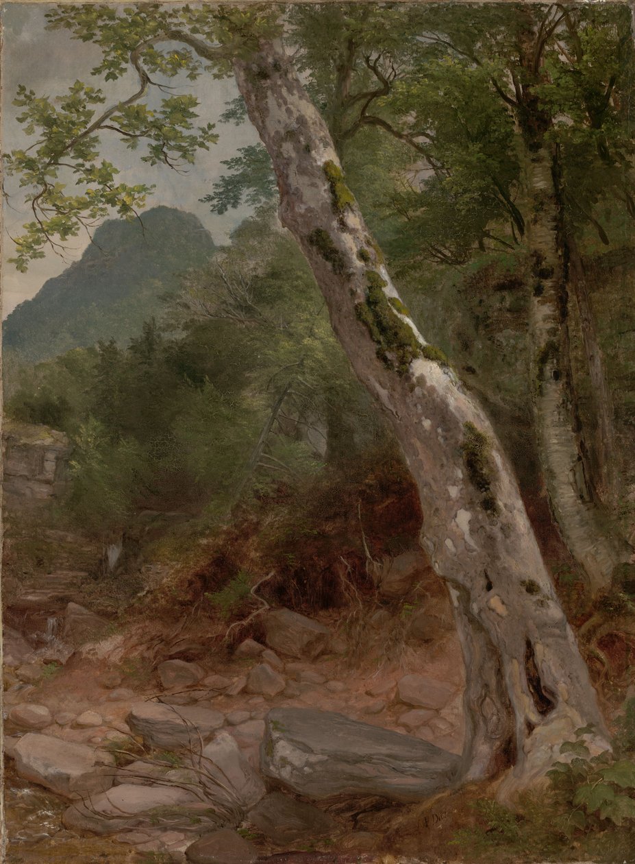 Et platan-træ, Plaaterkill Clove (Platanen, Kaaterskill Clove) af Asher Brown Durand