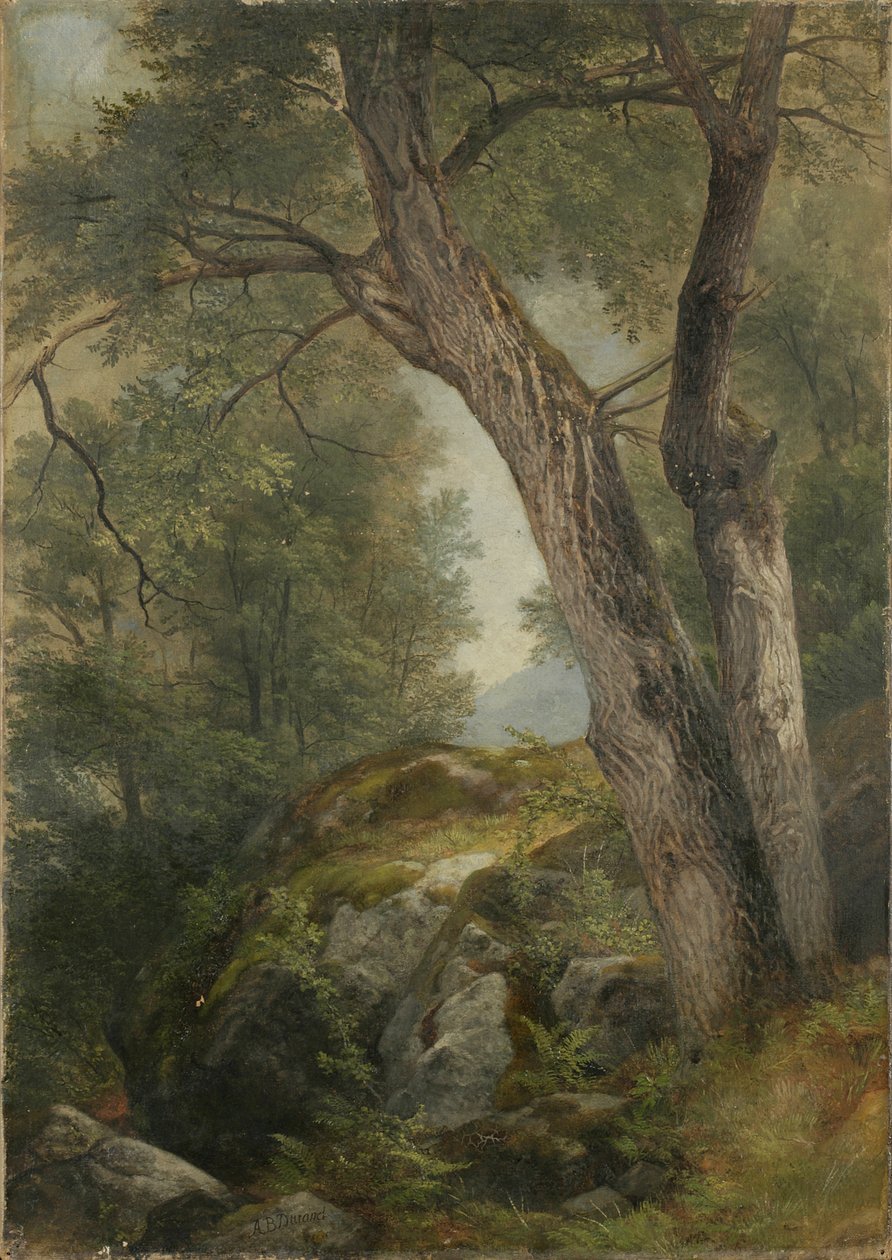 Butternut Tree ved Haag, Lake George, NY, 1862 af Asher Brown Durand