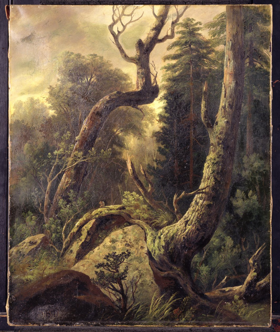 Skovlandskab af Asher Brown Durand