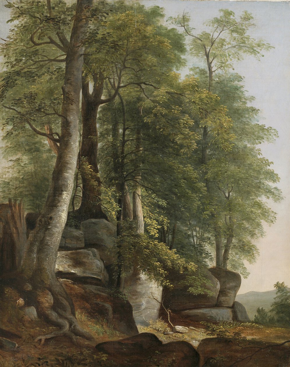 Landskab med klipper og træer, c.1845 af Asher Brown Durand